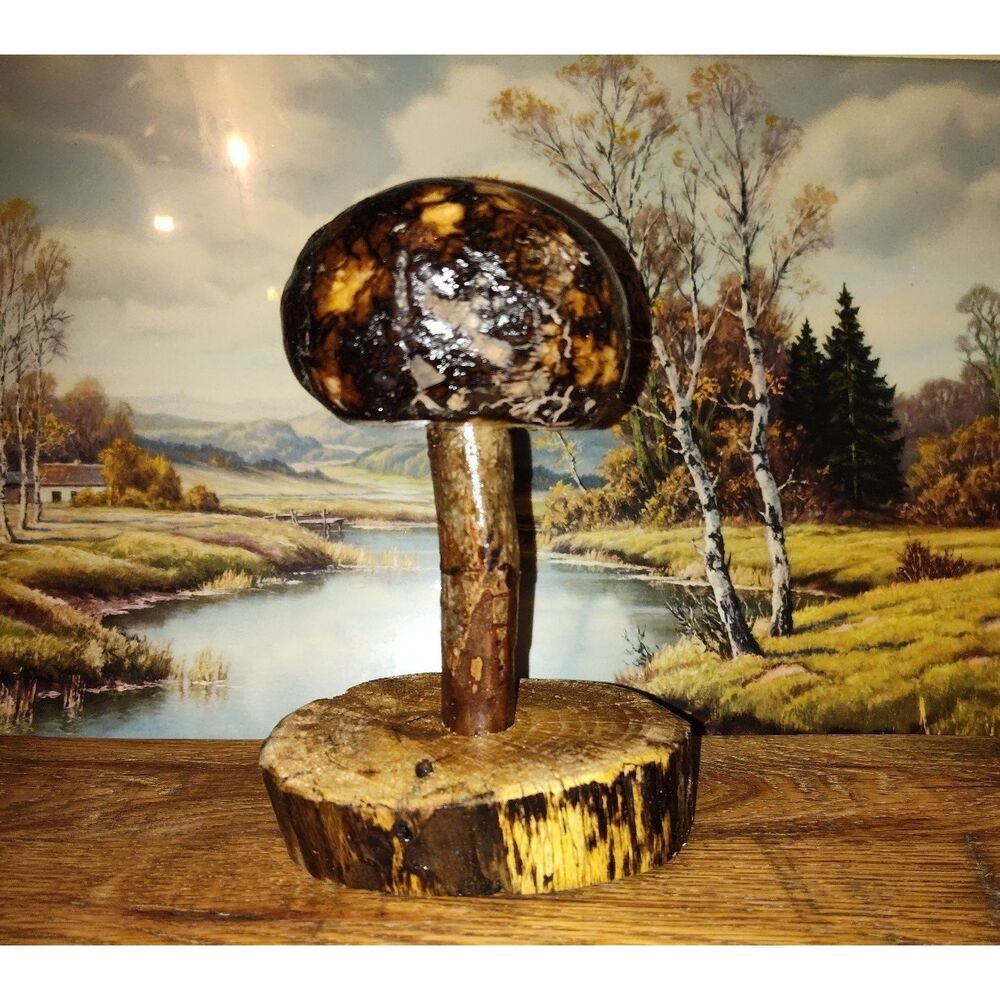 Handcrafted Mushroom/Tree Art Made from Small Live Oak Burl - Unique and Rustic